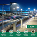 150W LED Parking Lot Light-480V High Voltage Area Light-AC 277~480V-21000 Lumens-CCT 5000K-UL+DLC 5.1