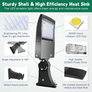 150W LED Shoebox Light-Led Parking Lot Light-21,000 Lumens-CCT 5000K-Brownz Color-Photocell Optional-5 Years Warranty-UL+DLC 5.1