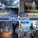 LED Post Top Light-20W/30W/40W/60W Selectable-CCT 3000K/4000K/5000K Selectable-Outdoor Waterproof-Compatible Photocell-5 Years Warranty