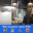 TANLITE Full Cut Off wall pack light submerged in water test, IP65-rated for outdoor industrial environments with polycarbonate lens