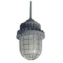 100W  LED Explosion Proof Light For Class 1 Division 1 Hazardous Locations-13,500 Lumens- 250W MH Equivalent-CCT 5000K