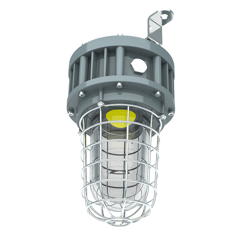 TANLITE 30W LED Explosion Proof Jelly Jar Light-Class 1 Division 1-5000K-100-277V-For Hazardous Location Lighting