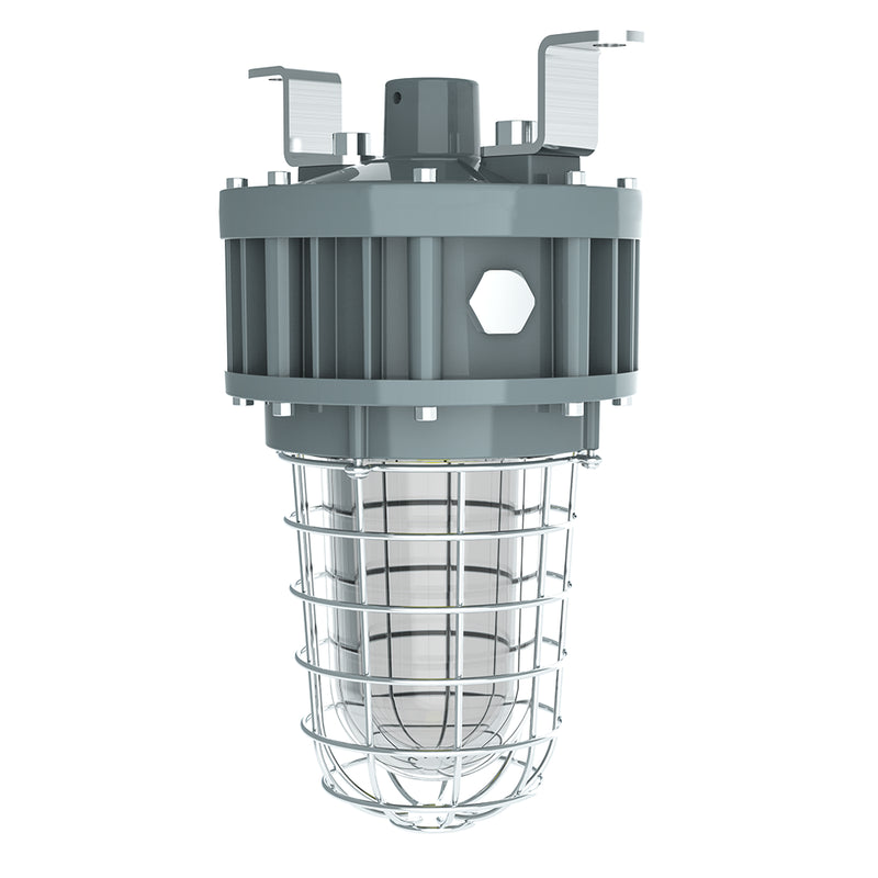 40W LED Explosion Proof Jelly Jar Light-Class 1 Division 1-5000K-100-277V-For Hazardous Location Lighting