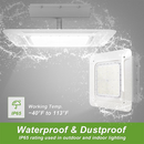 TANLITE 180W LED Canopy Light-AC 120~277V-CCT 5700K-0~10V Dimming- Lumen Output 25,200 Lumens-UL & DLC 5.1 Listed