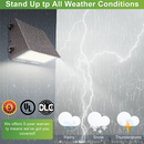 TANLITE Lighting 120W/100W/90W/60W Full-Cutoff LED Wall Pack