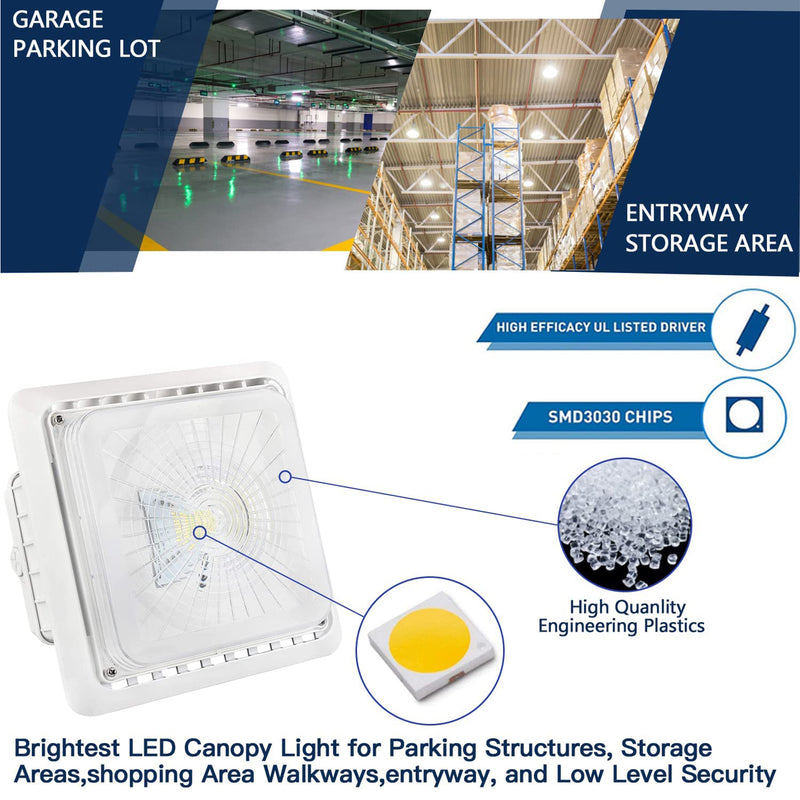 Tanlite 55W Led Canopy Light